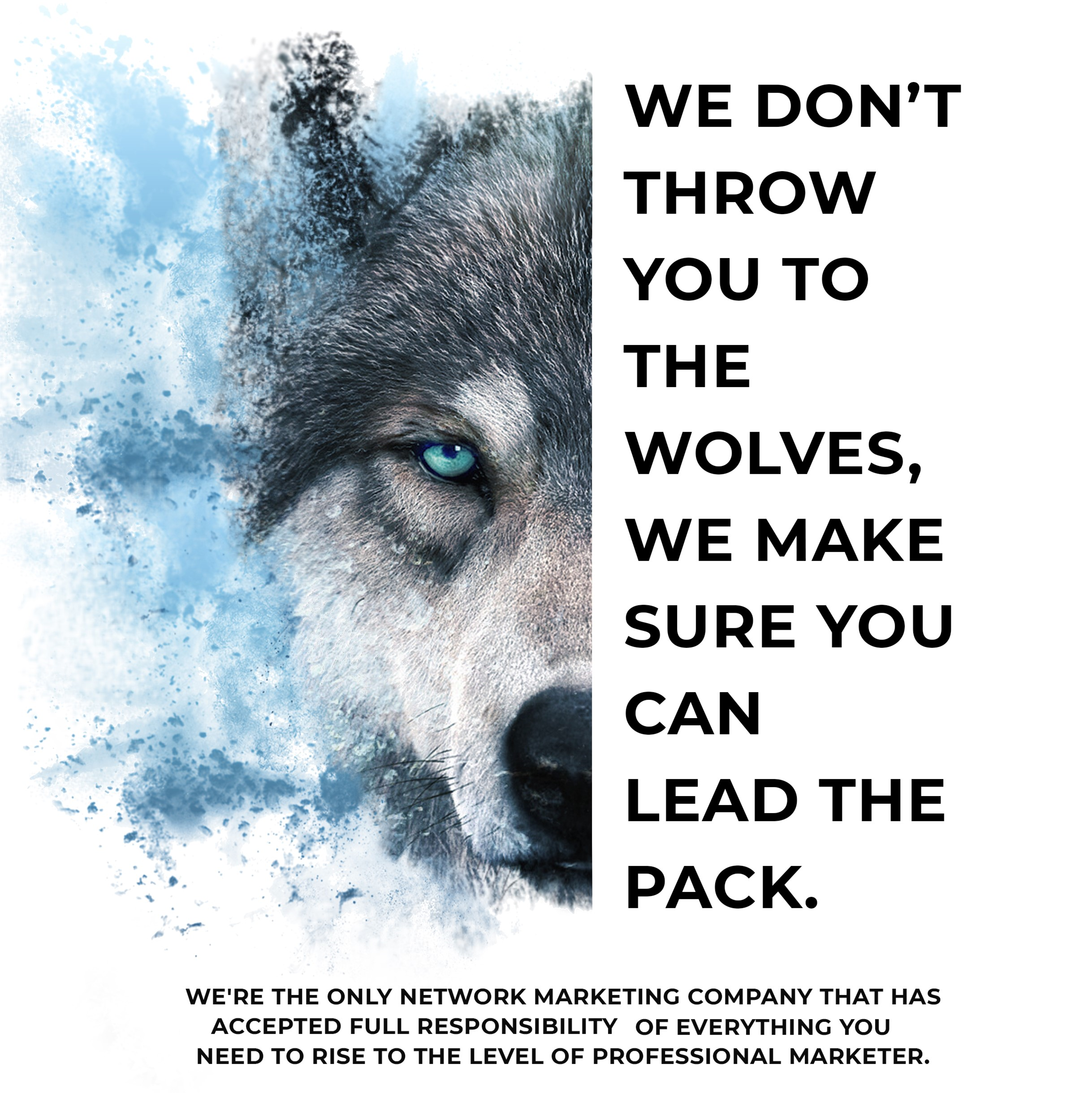 The Super Patch Global Business Opportunity